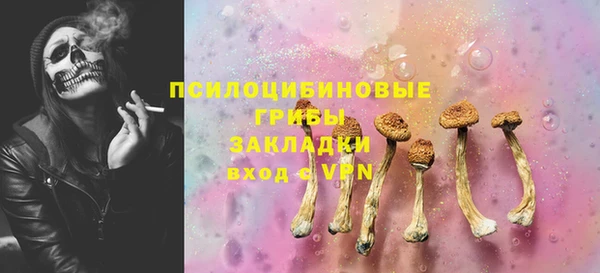 соль ск Абаза