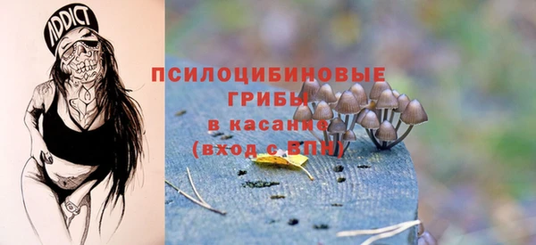 соль ск Абаза