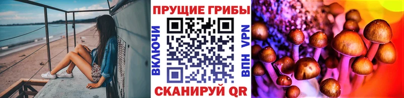 Псилоцибиновые грибы Psilocybine cubensis  Шарья 