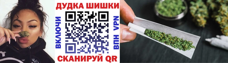 Бошки Шишки Amnesia  Шарья 